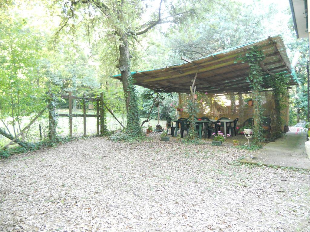 Park View Country House B&B Capannori Exteriör bild