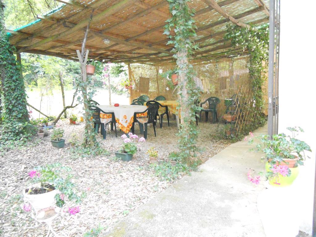 Park View Country House B&B Capannori Exteriör bild