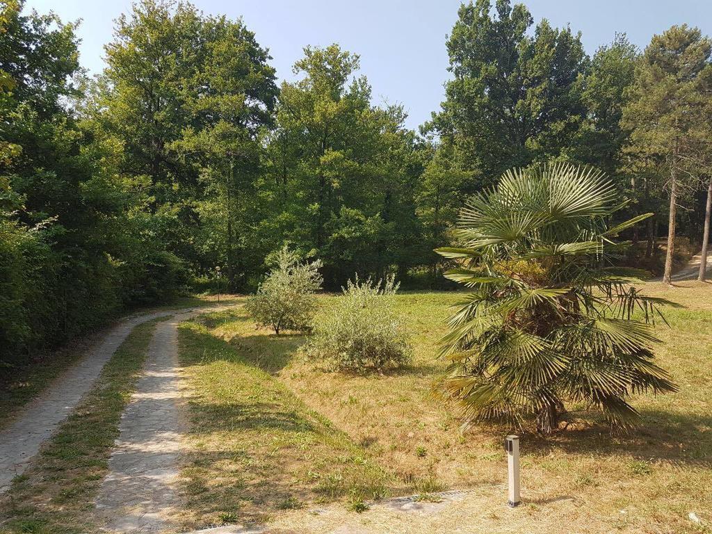 Park View Country House B&B Capannori Exteriör bild