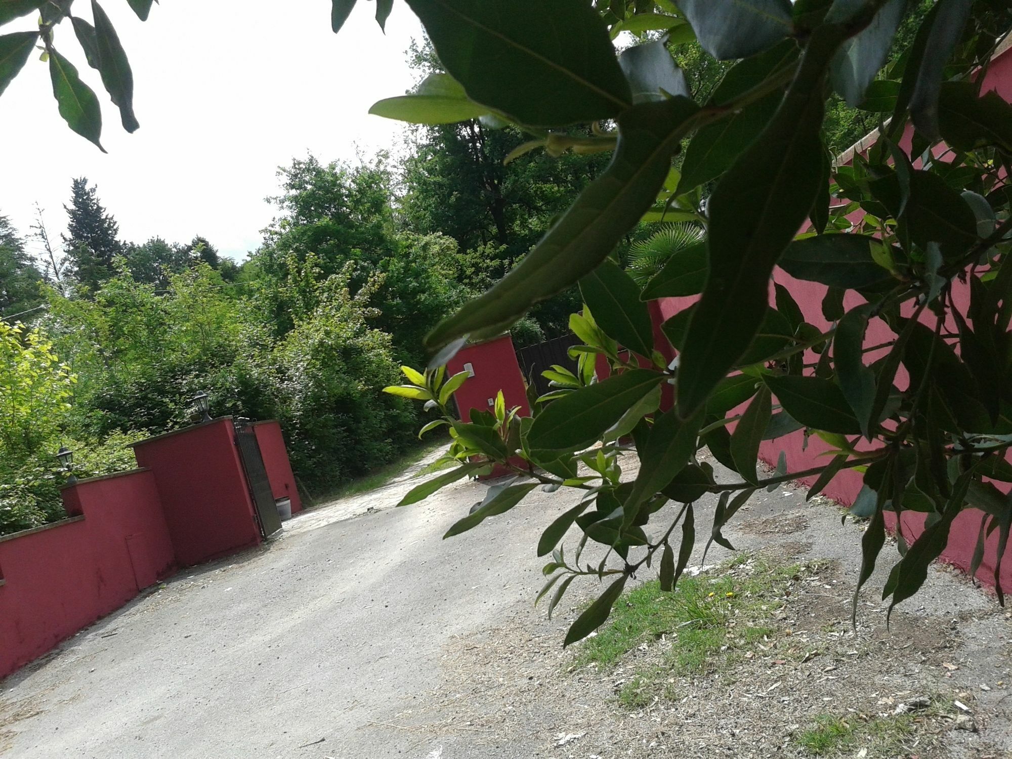 Park View Country House B&B Capannori Exteriör bild